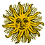 sun003