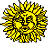 sun050